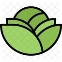 Cabbage Vegetables Food Icon