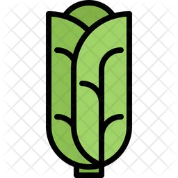 Cabbage  Icon