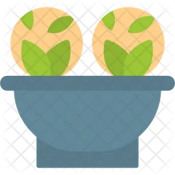 Cabbage  Icon