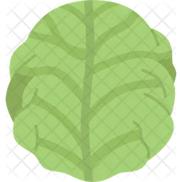 Cabbage  Icon