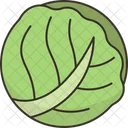 Cabbage  Icon