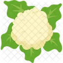 Cabbage Meal Cooking Icon