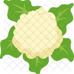 Cabbage  Icon