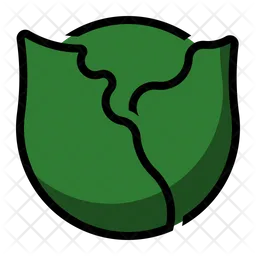 Cabbage  Icon