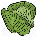 Cabbage Vegetable Salad Vegetable Icon