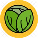 Cabbage Food Healthy Icon