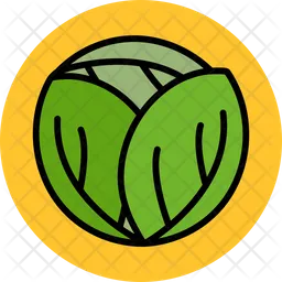 Cabbage  Icon