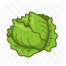 Cabbage  Icon