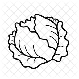 Cabbage  Icon