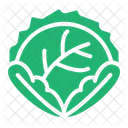 Cabbage Organic Vegan Icon