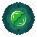 Vegetable Food Healthy Icon