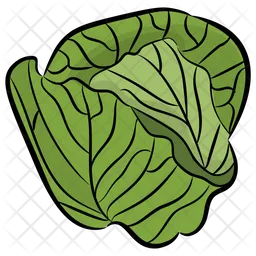 Cabbage  Icon