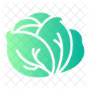 양배추 자연 나물 아이콘