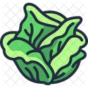 Cabbage Vegetable Healthy Icon