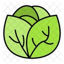 Vegetable Healthy Food Icon