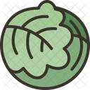 Cabbage Vegetable Ingredient Icon