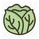 Vegetable Healthy Food Icon