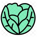 Cabbage Vegetable Healthy Icon