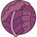 Cabbage  Icon