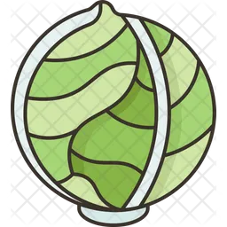 Cabbage  Icon