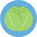 Cabbage Food Green Icon