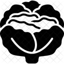 Cabbage  Icon
