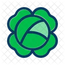 Cabbage Food Healthy Icon