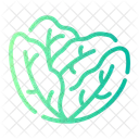 Cabbage Vegan Greens Icon