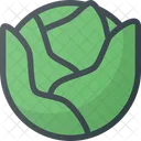 Cabbage  Icon