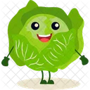 Cabbage Vegetable Healthy Icon