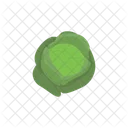 Cabbage  Icon