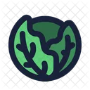 Cabbage Vegetable Nature Icon