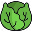 Cabbage  Icon