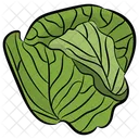 Cabbage  Icon
