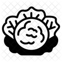 Cabbage  Icon
