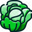Cabbage  Icon