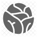 Cabbage  Icon