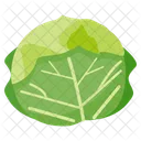 Cabbage  Icon
