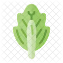 Cabbage  Icon