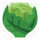 Cabbage  Icon