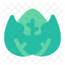 Cabbage  Icon