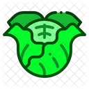 Cabbage  Icon