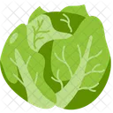Cabbage  Icon