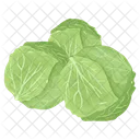 Cabbage  Icon