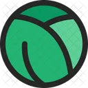 Cabbage  Icon