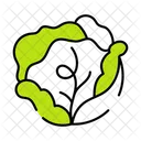 Cabbage  Icon