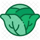Cabbage  Icon