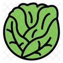Cabbage  Icon