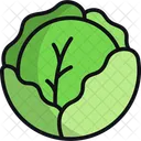 Cabbage  Icon