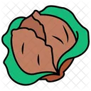Cabbage  Icon